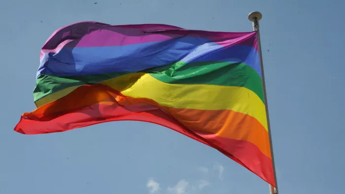 Stad Leuven hijst de regenboogvlag