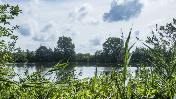 Vijvers van Bellefroid tijdelijk gesloten voor bodemonderzoek