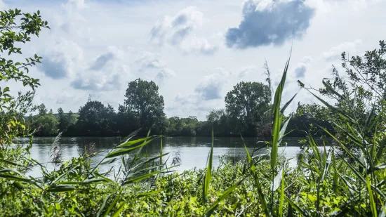 Vijvers van Bellefroid tijdelijk gesloten voor bodemonderzoek