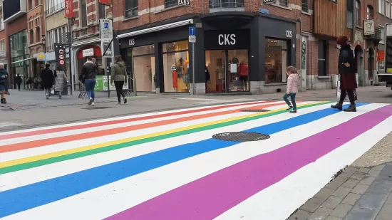 Zebrapad regenboog tegen Homofoob Geweld.jpg