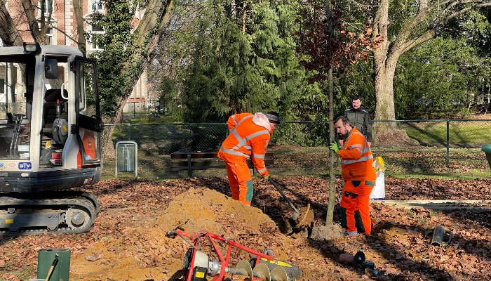 35.066 nieuwe bomen en planten in Leuven zijn klaar voor de lente