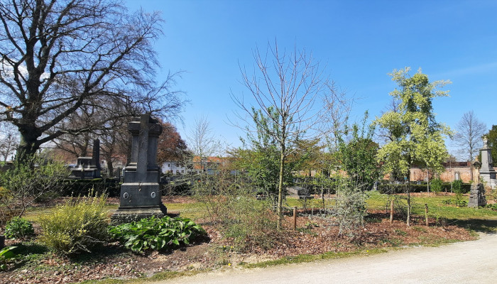 Eerste resultaten plantenlaboratorium op Stadsbegraafplaats bekend