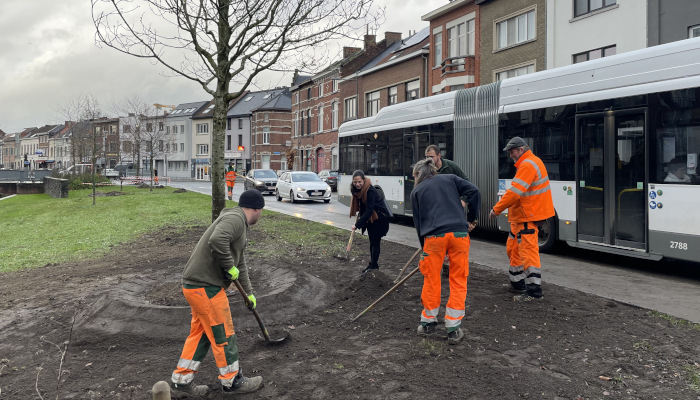 Startschot plantseizoen met aanplant acht meter hoge zomereik