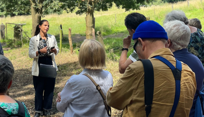 Vorig jaar kocht de stad Leuven het panoramische kasteelpark de Bunswyck, een verborgen park langs de Tiensesteenweg op de groene flank van de Predikherenberg. De voorbije maanden voerde de stad verschillende werken uit om het domein veilig toegankelijk te maken. 