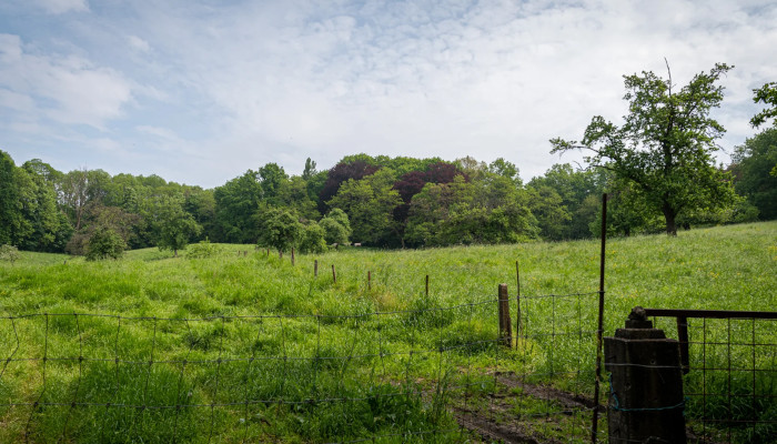 Panoramisch kasteelpark de Bunswyck straks voor iedereen toegankeli